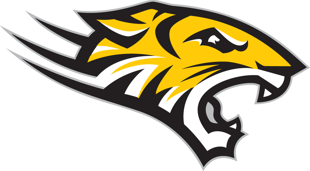 Towson Tigers 2004-Pres Alternate Logo v4 diy iron on heat transfer